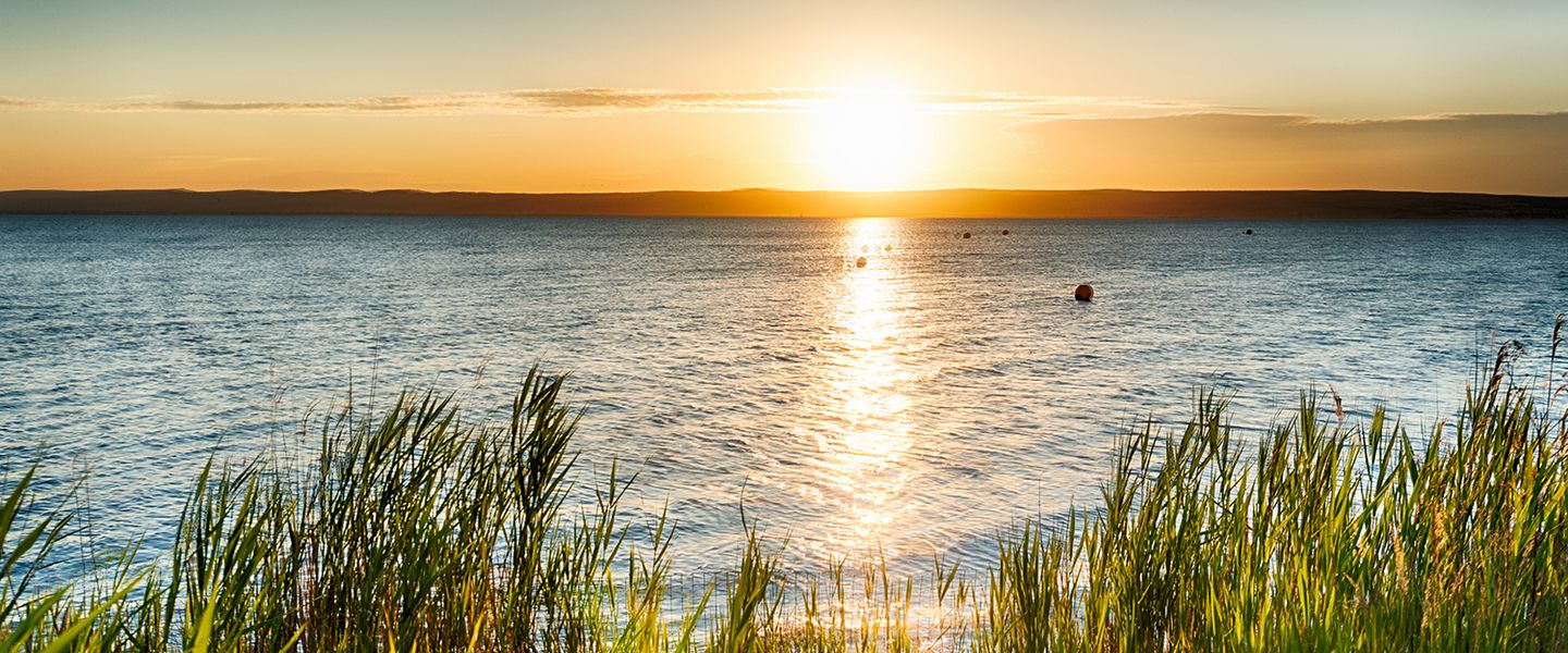 Schiff- & Kutschenfahrt am Neusiedlersee - Österreich / Burgenland