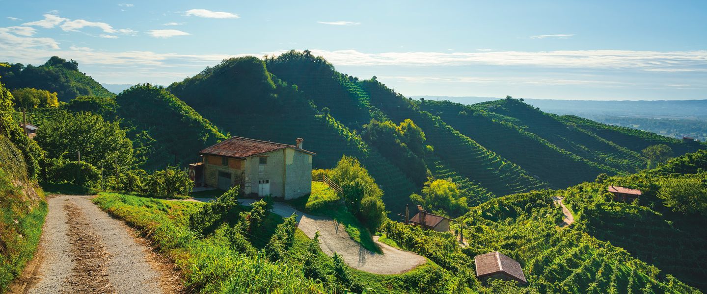 Auf den Spuren von Grappa & Prosecco - Italien / Venetien