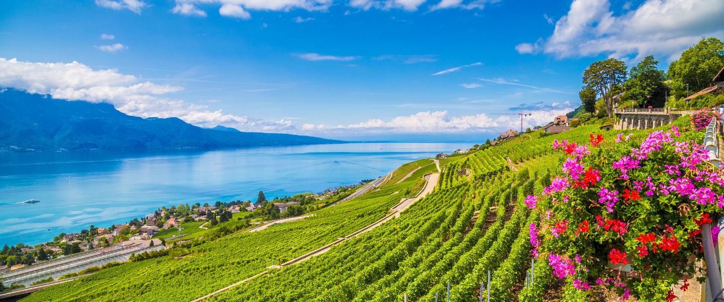Genfersee: Weingenuss & Tulpenzauber - Schweiz / Genf