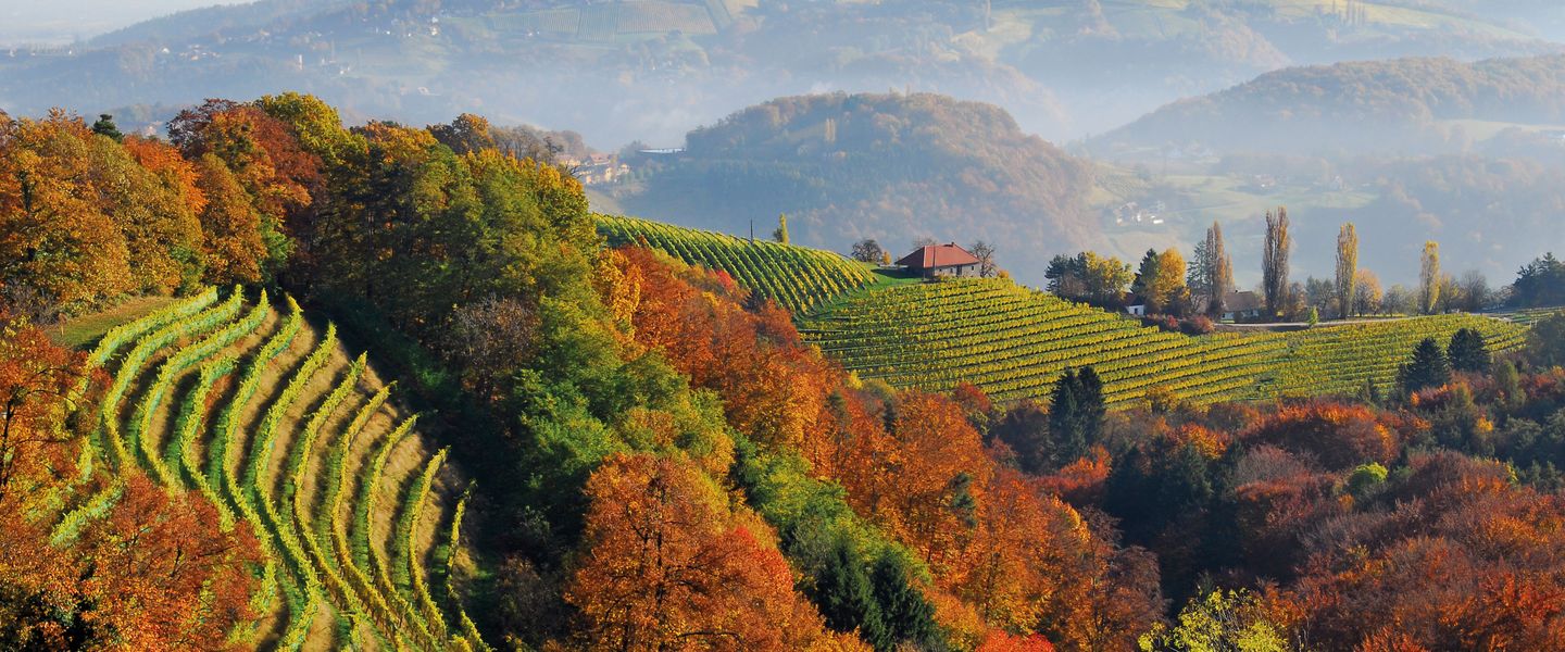 Grappa & Prosecco - Italien / Venetien