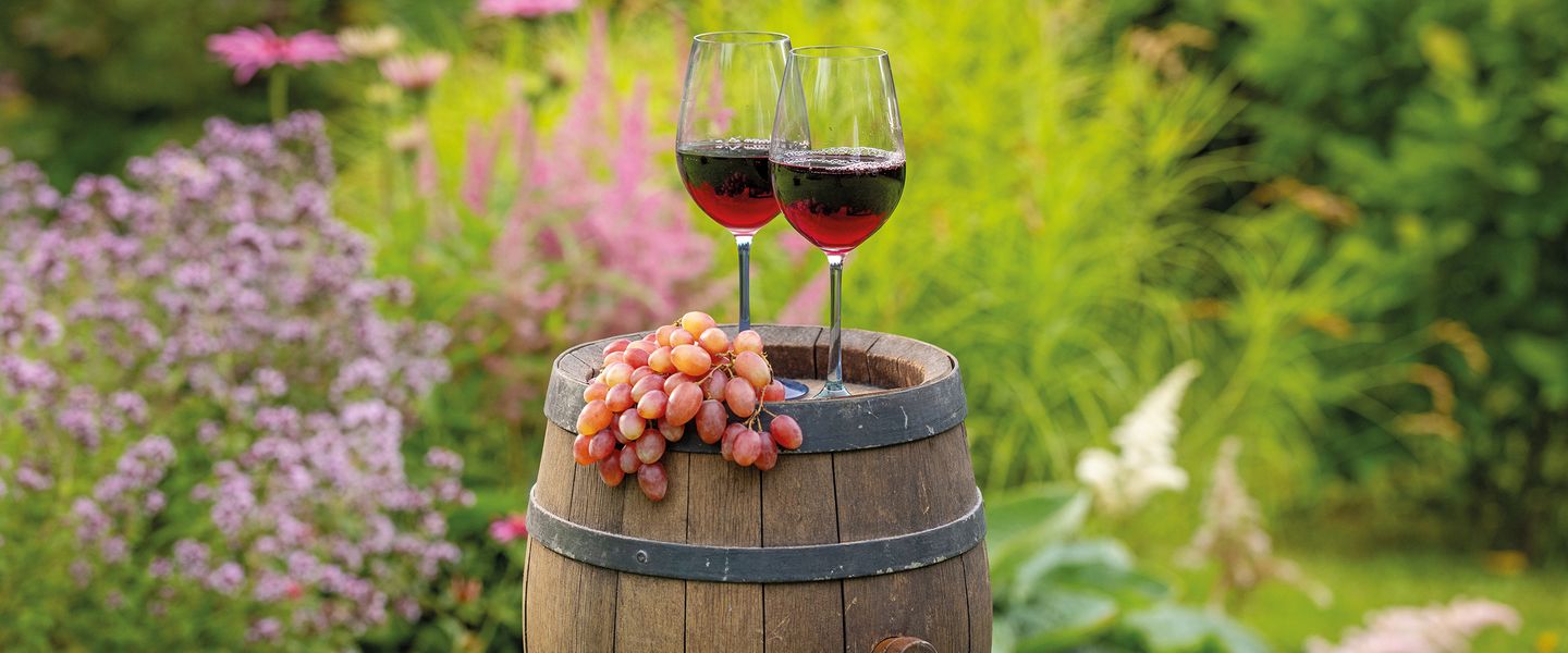 Die magische Verbindung von Wein und Blüten im Elsass - Frankreich / Elsass