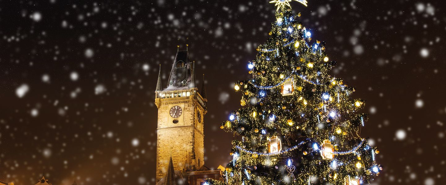Treuereise Weihnachtsmärkte Tschechien - Tschechien / Südböhmische Region